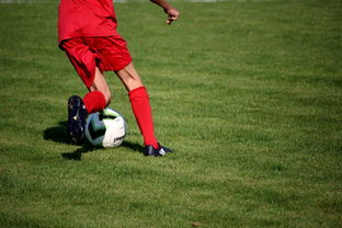 九游电竞资讯-中国篮球职业联赛俱乐部青训体系建设与实践探索，篮球青年训练营